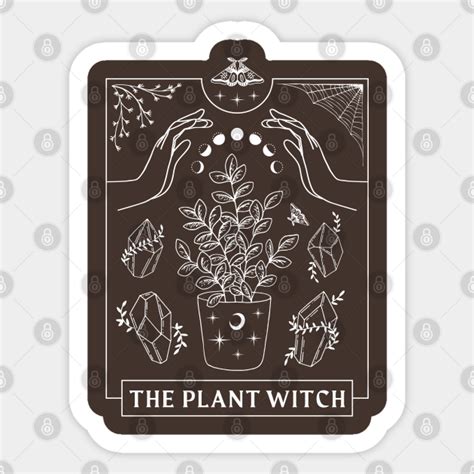 Bringing the Energy of Plants into Your Tarot Practice